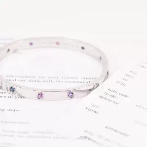 Cartier 'Love' 18k White Gold Gemset Bracelet