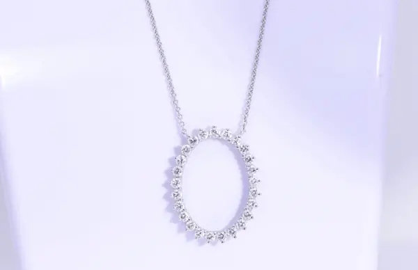 Tiffany & Co. 1 ct Diamond Circle Pendant Necklace in Platinum