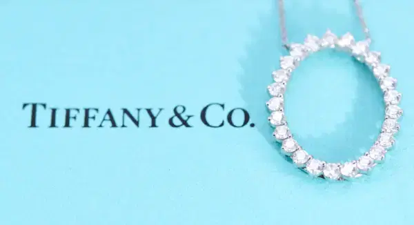 Tiffany & Co. 1 ct Diamond Circle Pendant Necklace in Platinum